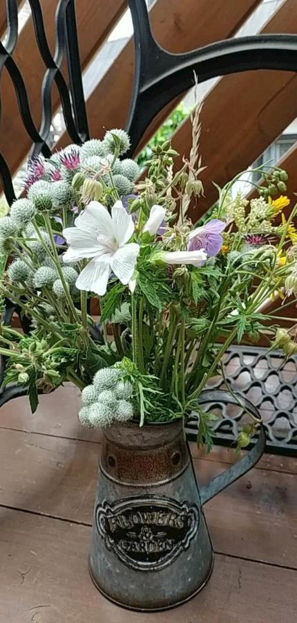 Romanticka Chalupa Pod Vysokymi Tatrami Liptovský Hrádok المظهر الخارجي الصورة